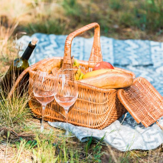 picnickurv i naturen