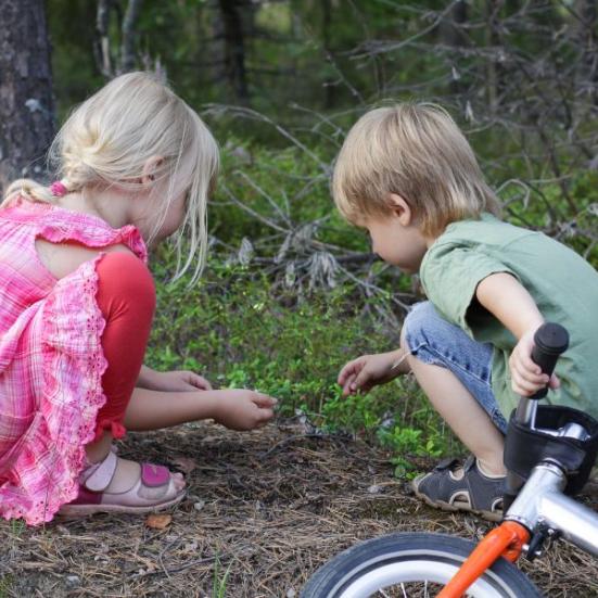 Børn sidder i skovbund