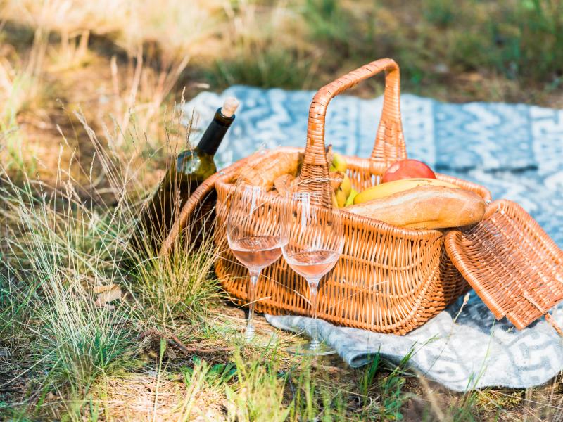 picnickurv i naturen