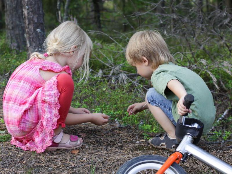 Børn sidder i skovbund