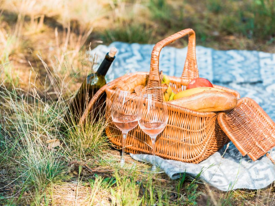 picnickurv i naturen