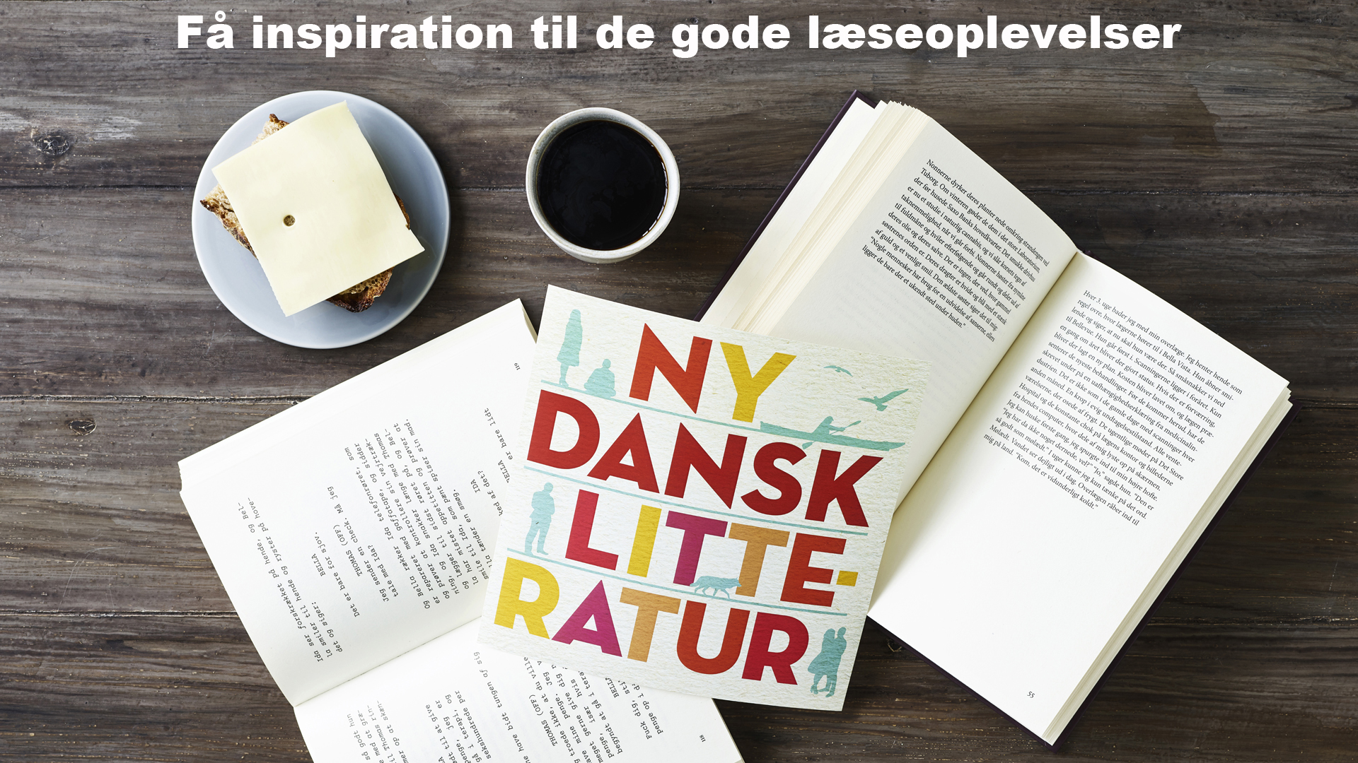 Temafolder_Ny dansk litteratur