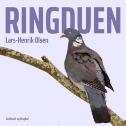 Lars-Henrik Olsen (f. 1946): Ringduen