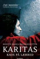 Kristín Marja Baldursdóttir: Karitas - kaos på lærred : roman