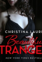Christina Lauren: Beautiful stranger