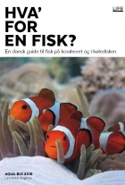Lars Anker Angantyr: Hva' for en fisk? : en dansk guide til fisk på koralrevet og i køledisken